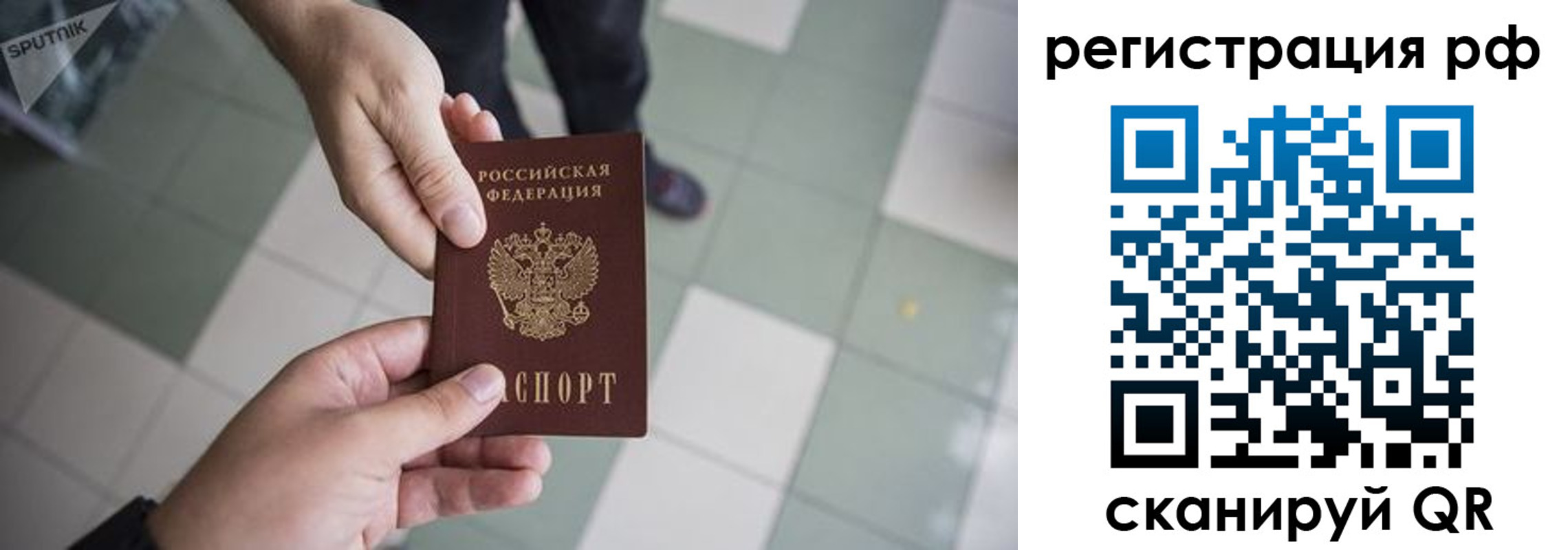 прописка гарантия в Павловском Посаде